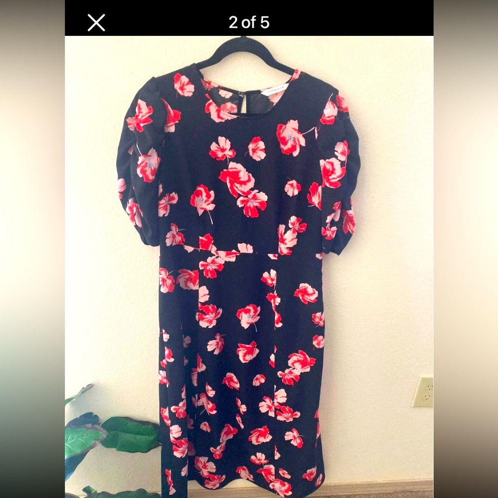 Women’s Dress